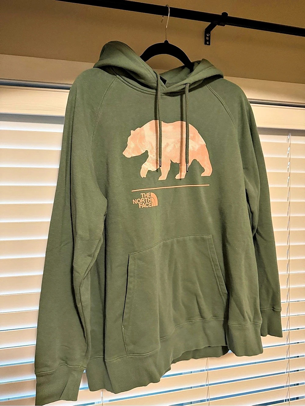 The North Face TNF Bear Pullover Hoodie Green & Pink XL